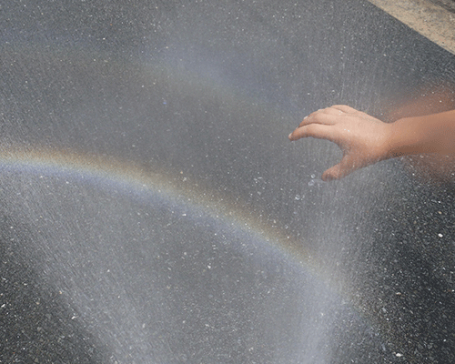 ナチュラルレストラン