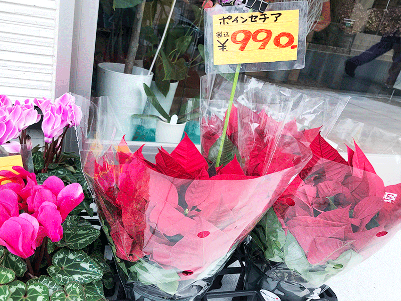 丸栄生花の店頭写真です